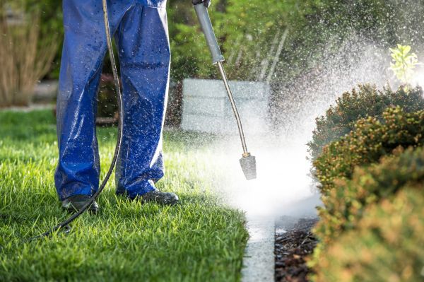 Curb Cleaning in Yorba Linda