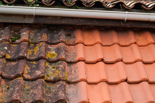 Industrial Roof Cleaning in Yorba Linda